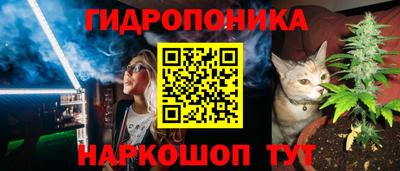 ECSTASY Тверь