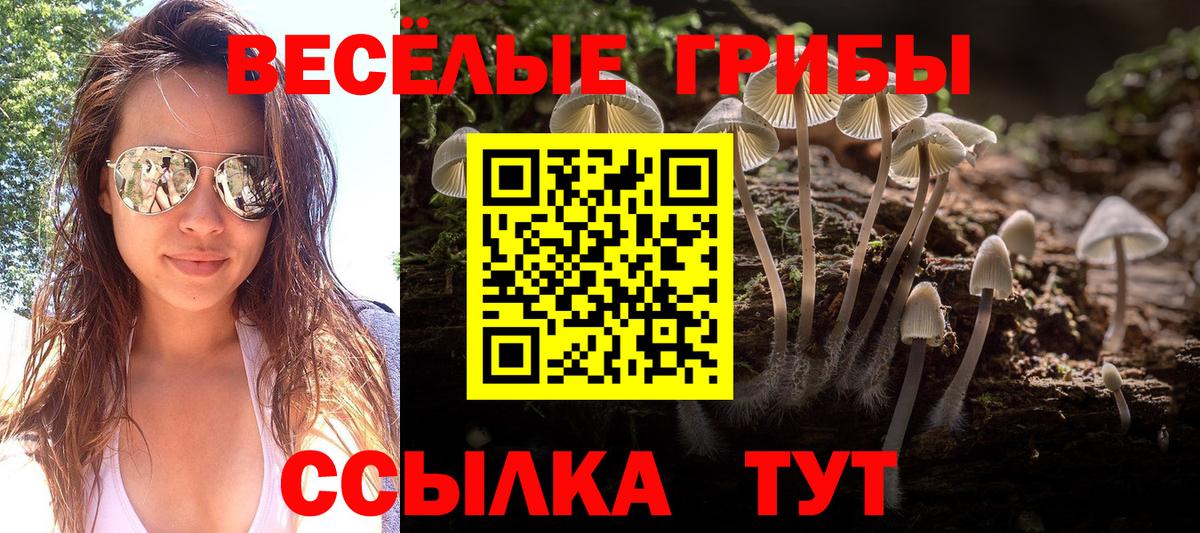Псилоцибиновые грибы Psilocybe Нурлат